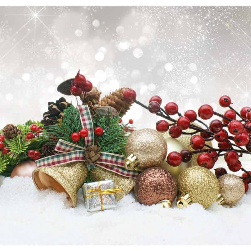 Ticket for La Fete de Noel by CPF Burnaby