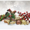 Ticket for La Fete de Noel by CPF Burnaby